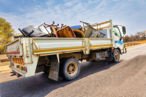Best Yard Waste Removal  in La Marque, TX
